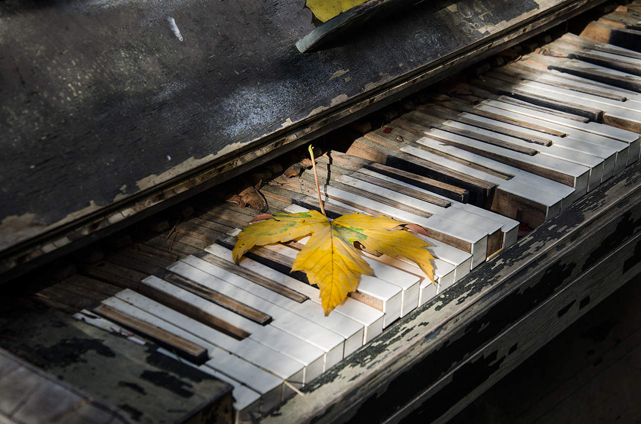 Нота грусти. Пианино и листья. Пианино под дождем. Пианино и осенние листья. Осенние листья на рояле.