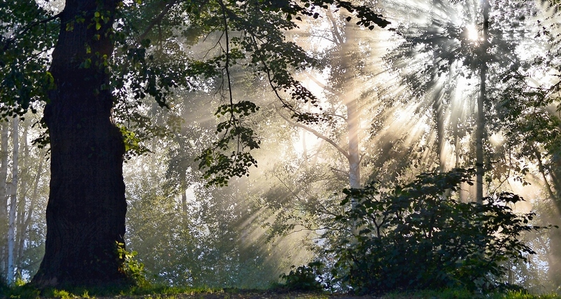 Свет и тени - Фотография - Другое