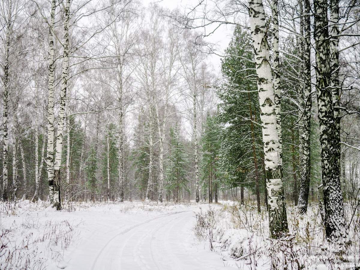 Фото зима пришла