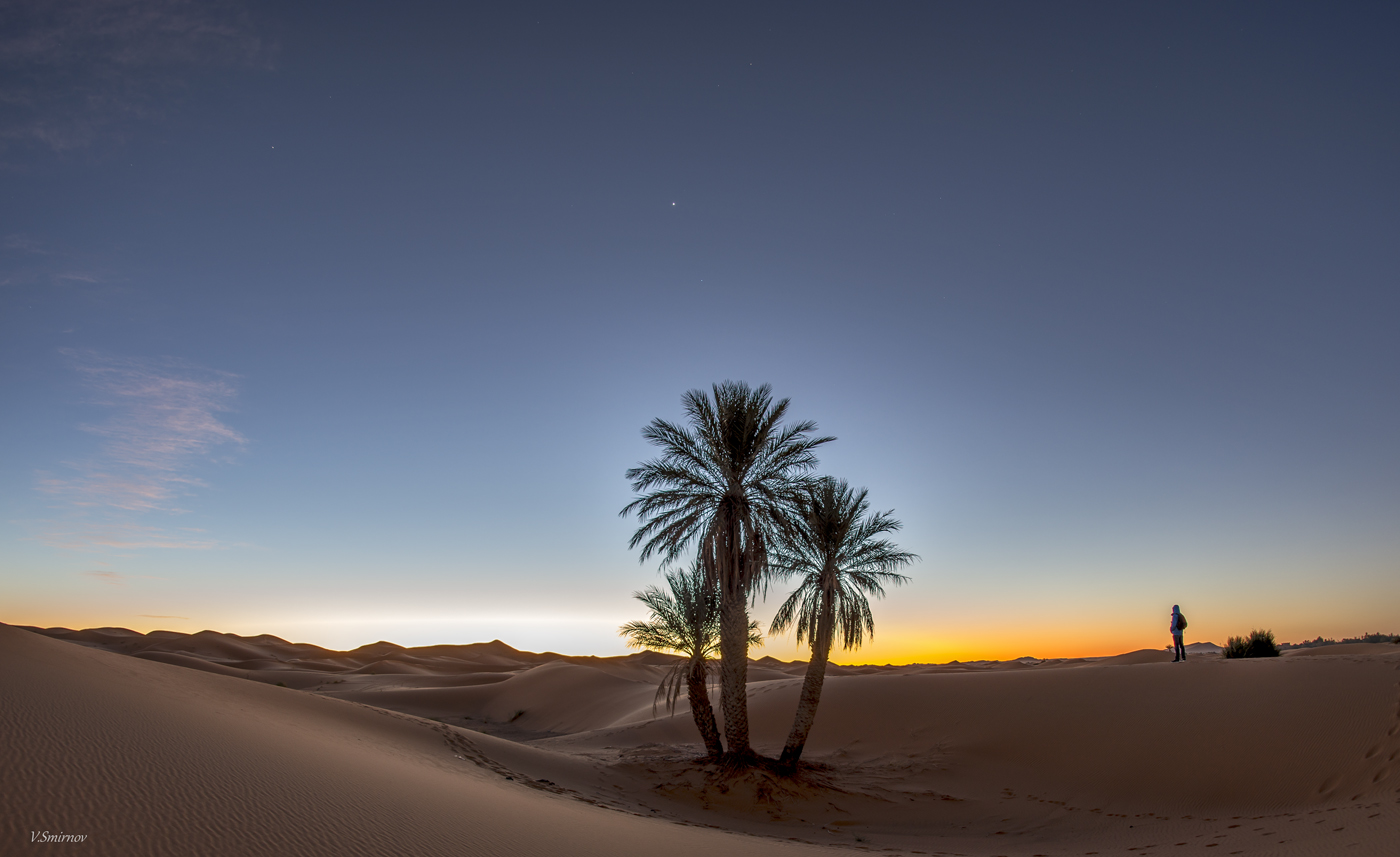 Аравийская пустыня три пальмы Лермонтов