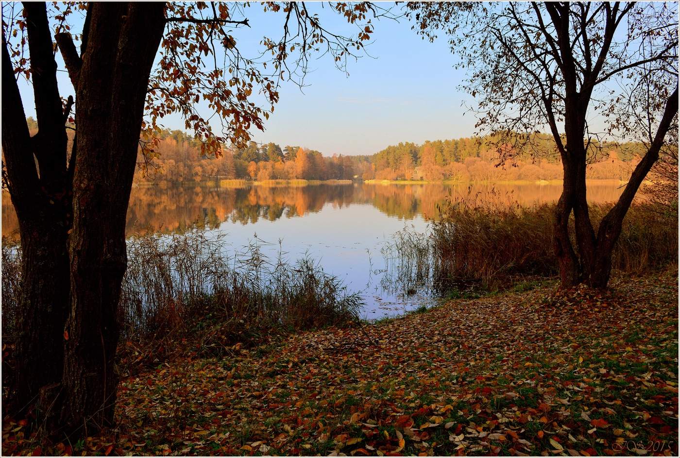 берег реки осень