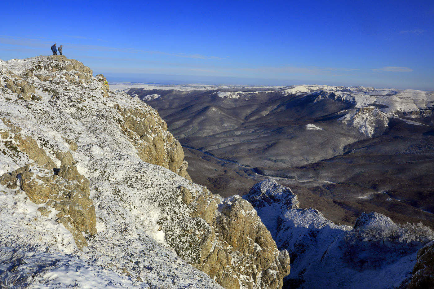 Роза чатыр даг фото