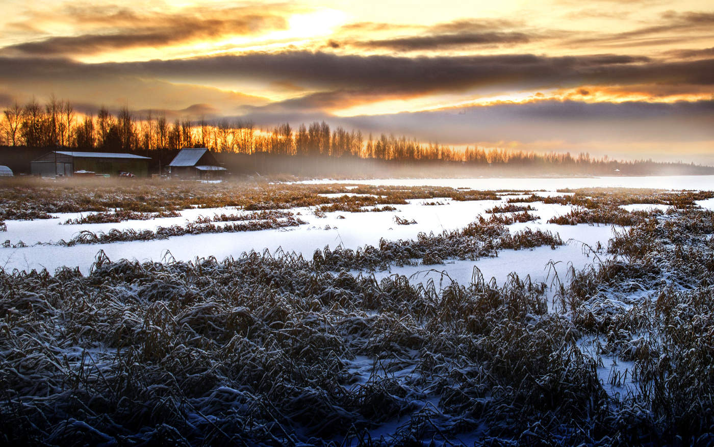 Васюганское болото зимой