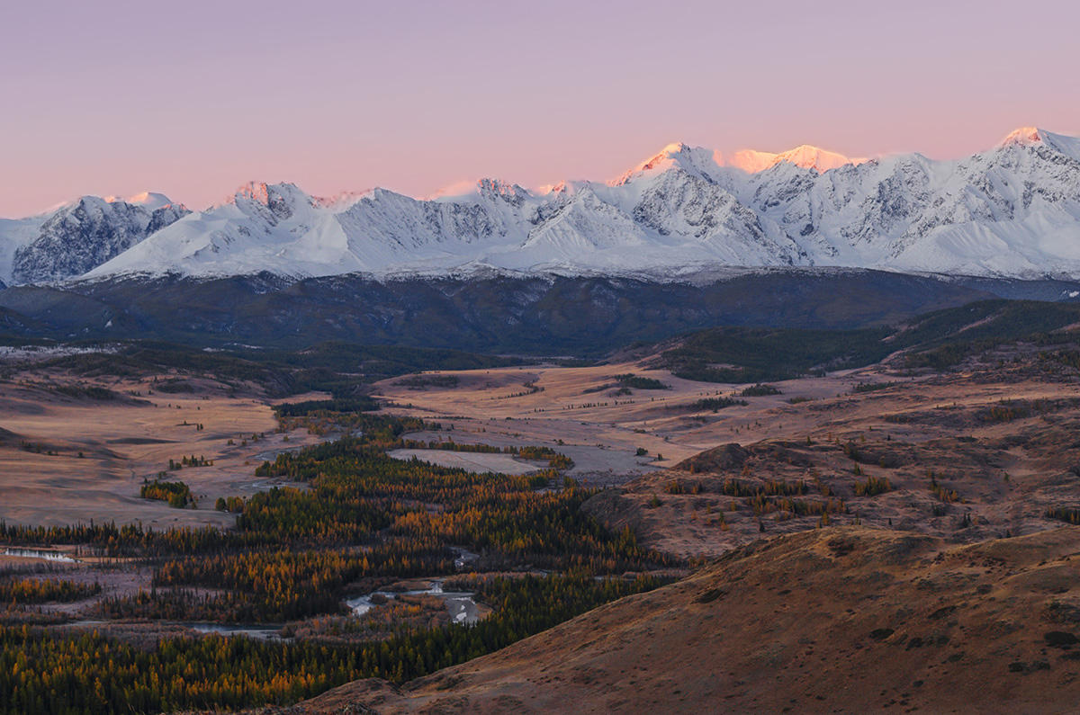 Село курай фото