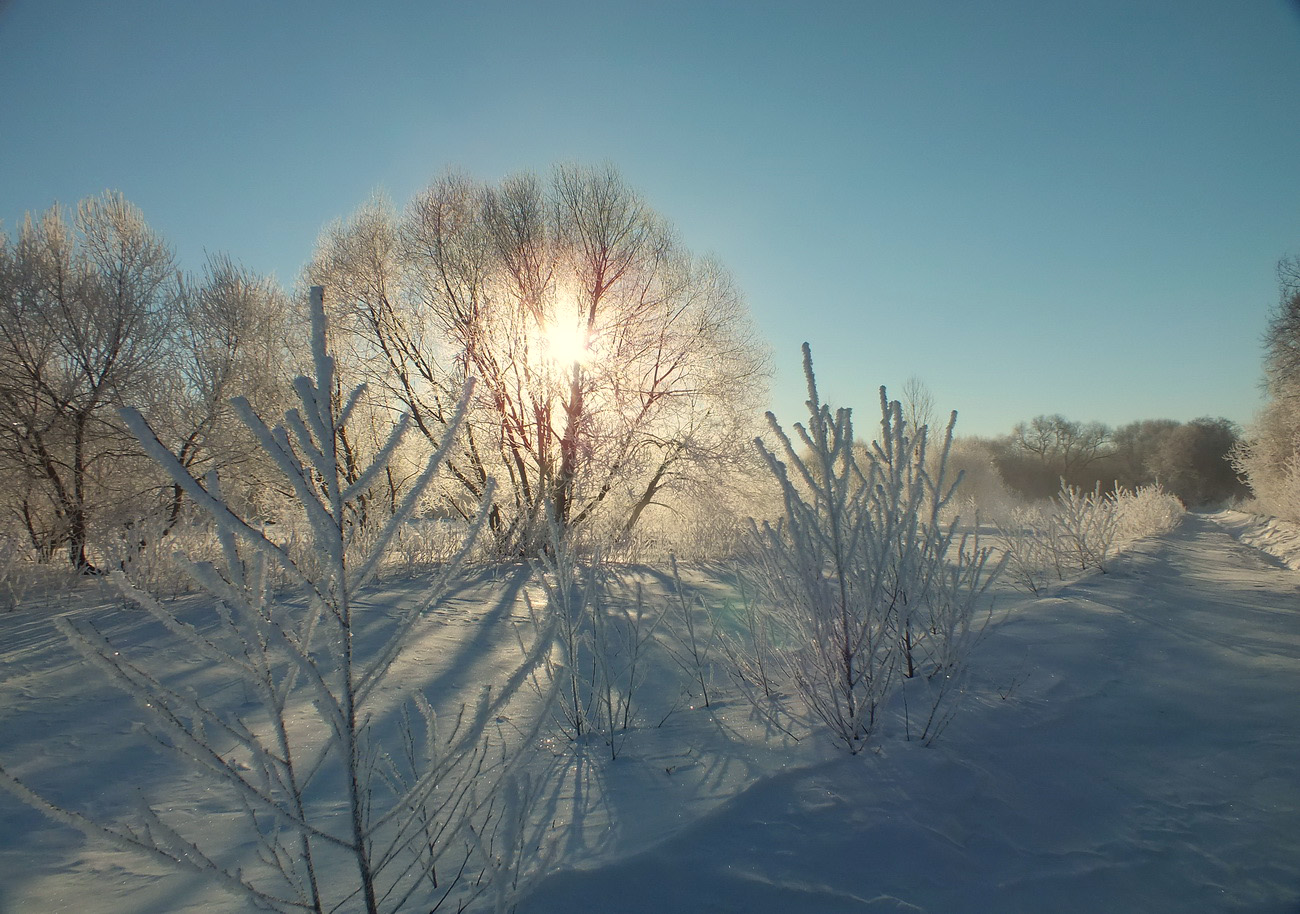 Фото веснянки минск