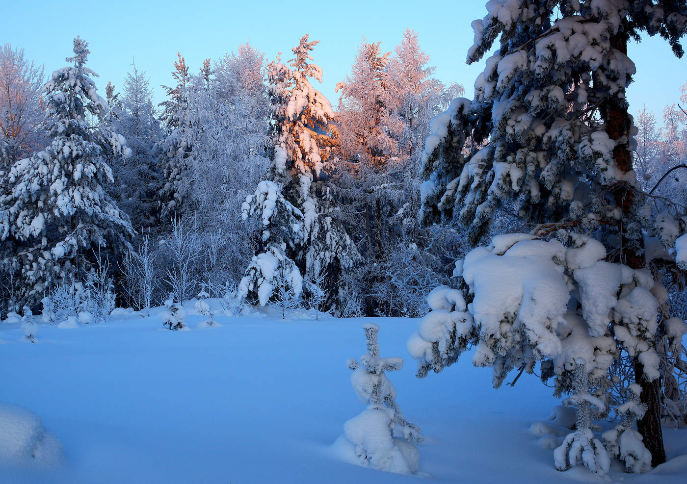 Зима декабрь Сибирь