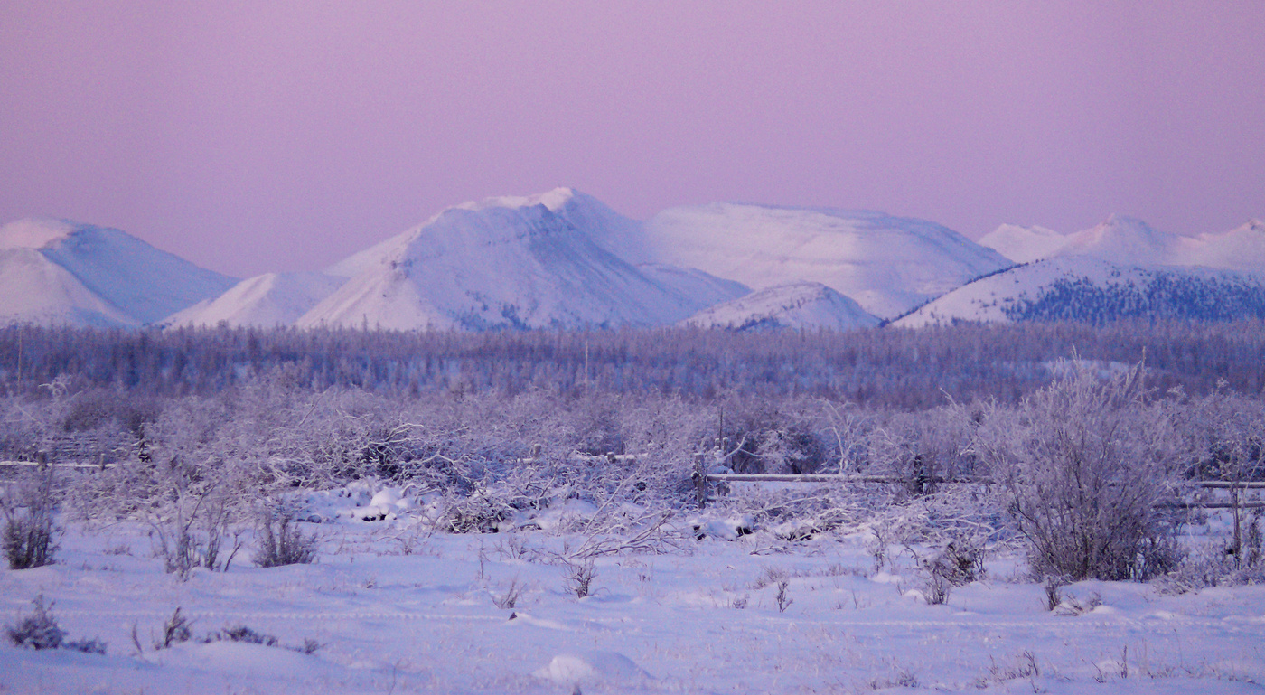 Белые ночи якутск фото