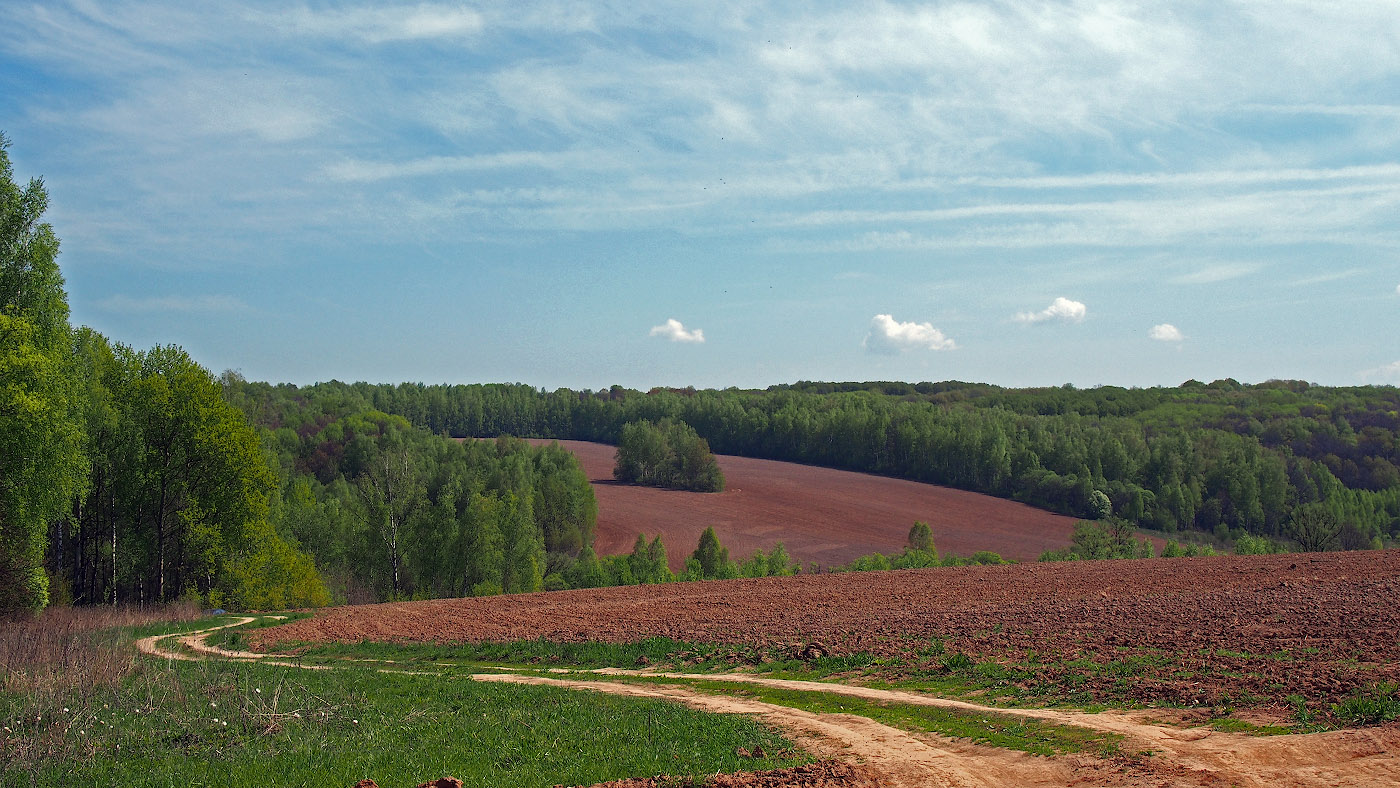 просторы 7. просторы фото. ясногорск тульская область природа. поля костромской области. просторы 7.