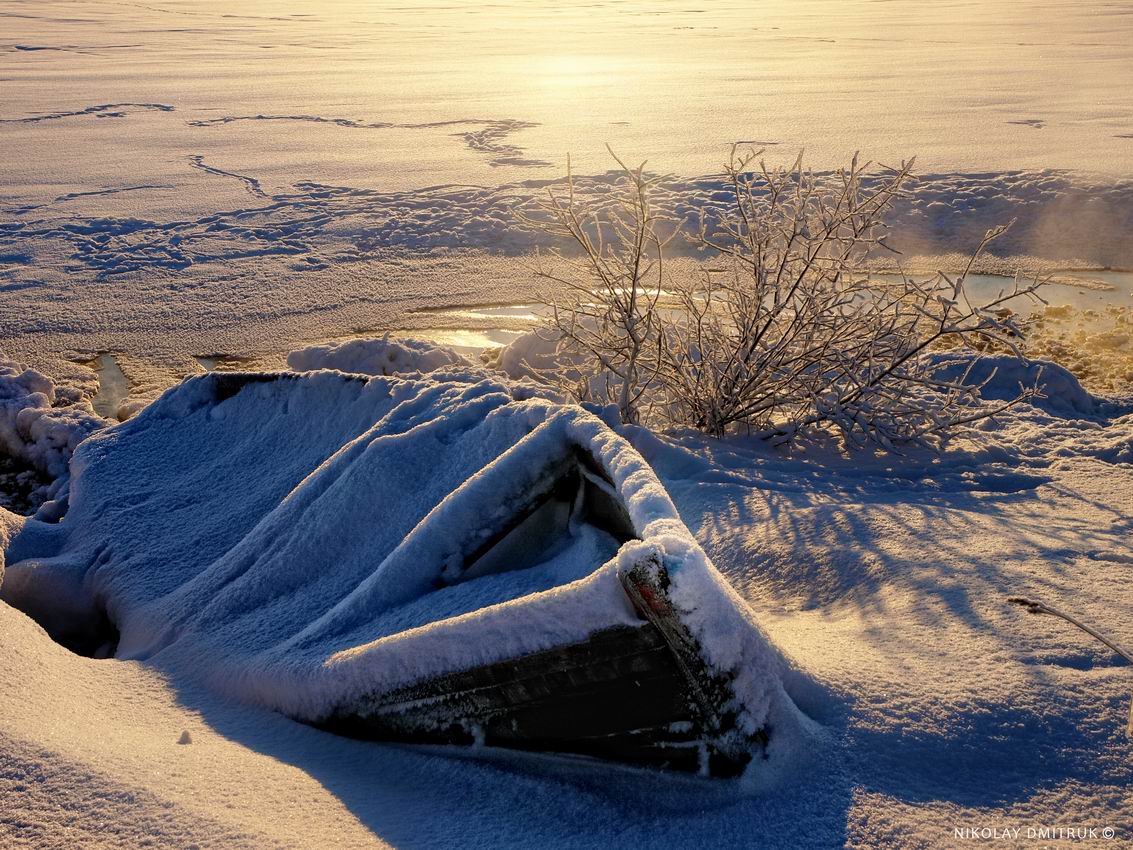 Зимний сон фотографии