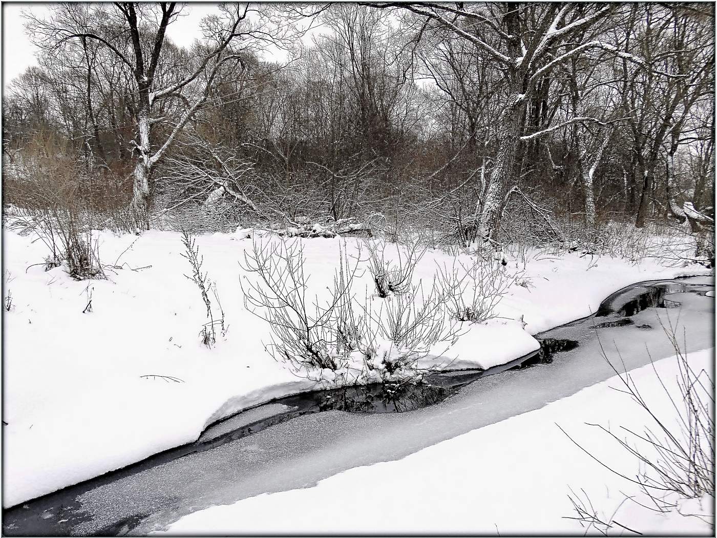 Не замерзающая даже зимой. Скользкие ножки. Не замерзающая даже зимой. Суровый зимний пейзаж. Озеро ключик нижегородская область зима 2022.