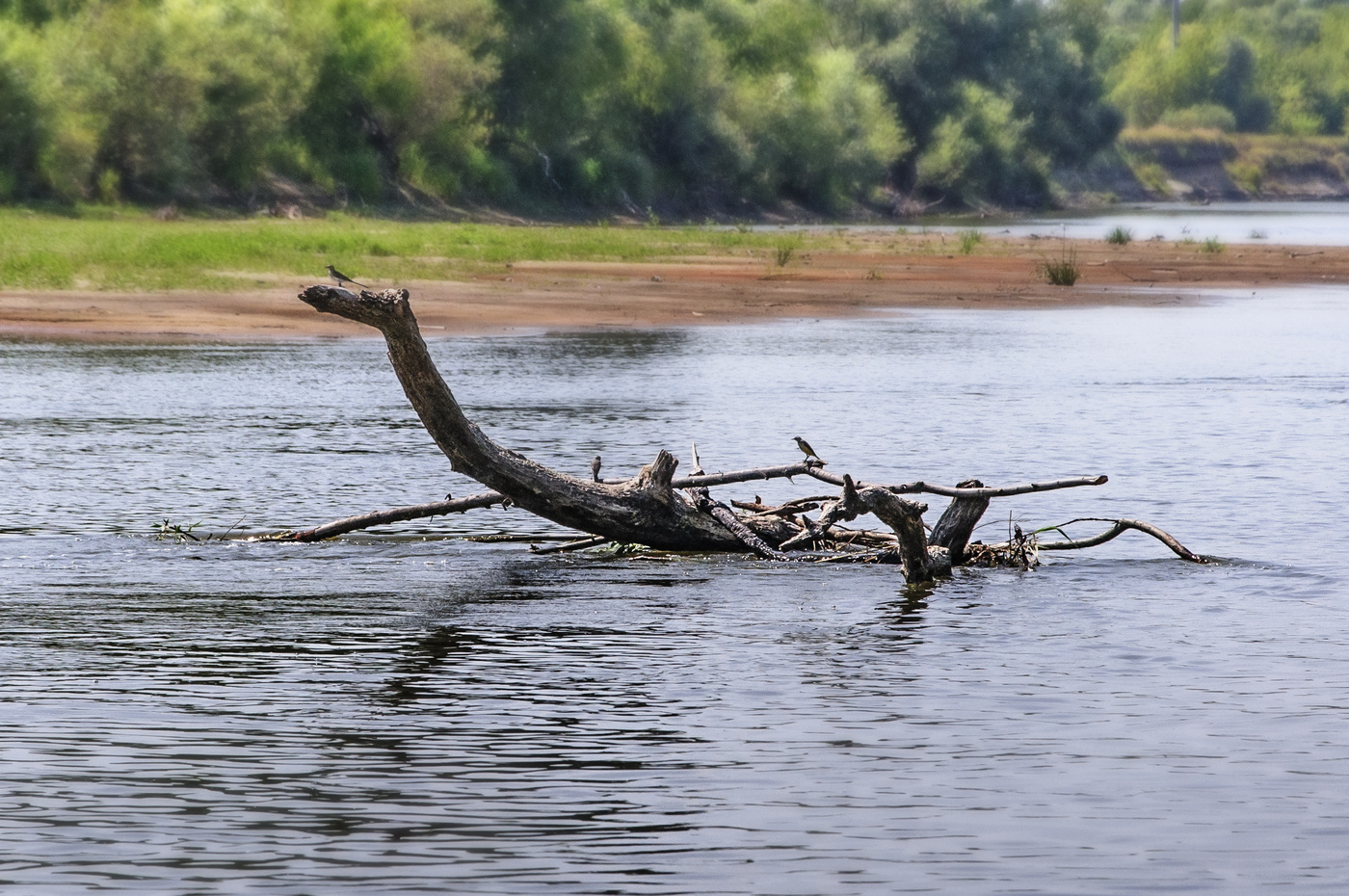 река горынь