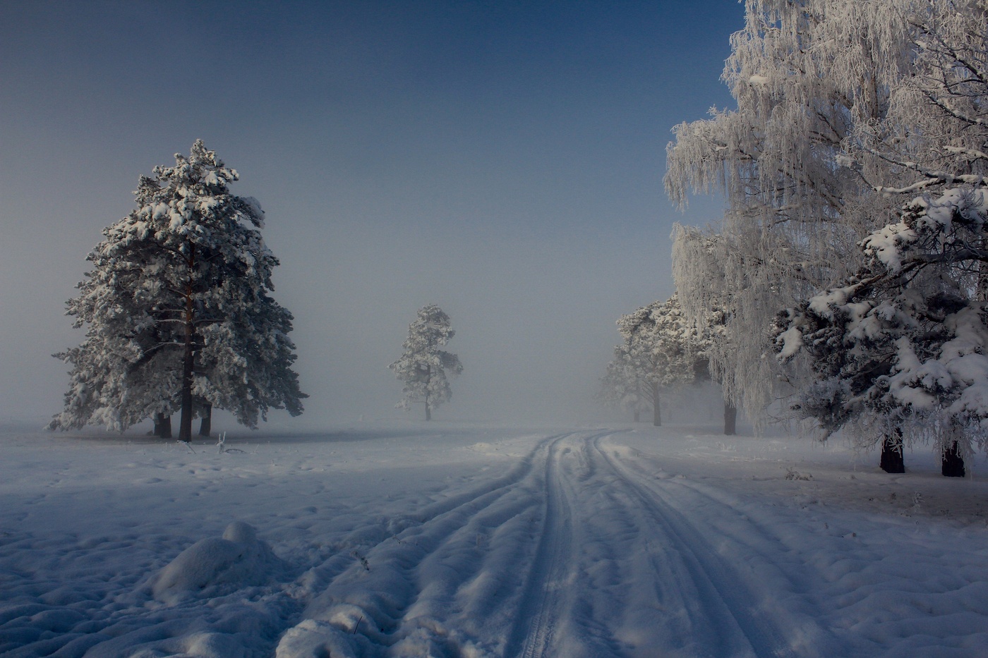 Сибирь дорога зима