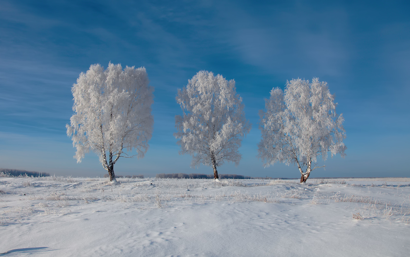 Природа в зимнем наряде фото