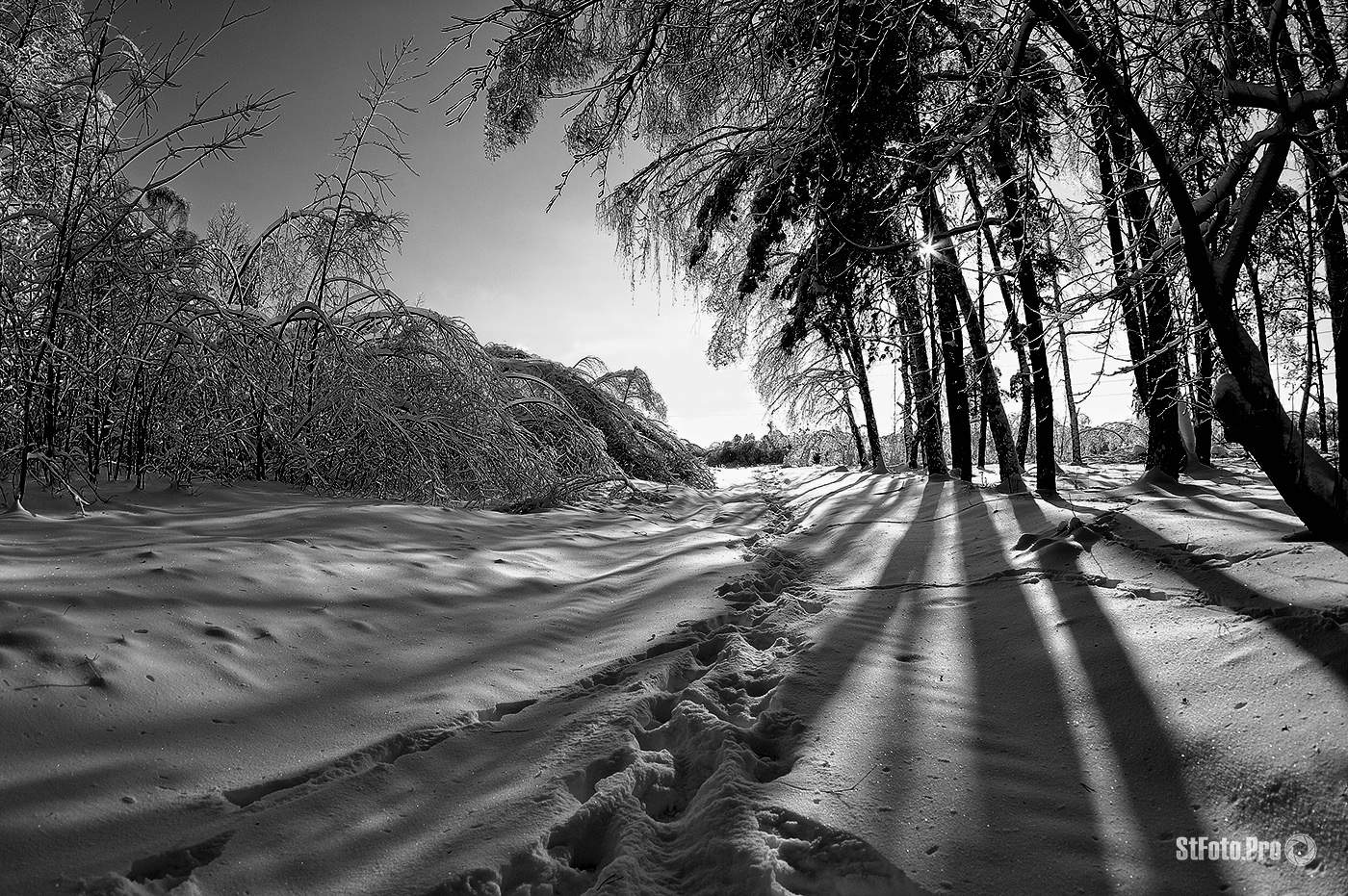 Просто зима. Just Winter.