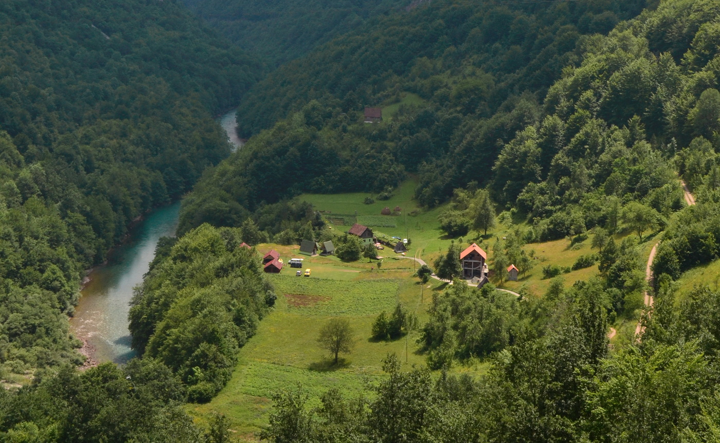 Леса Черногории