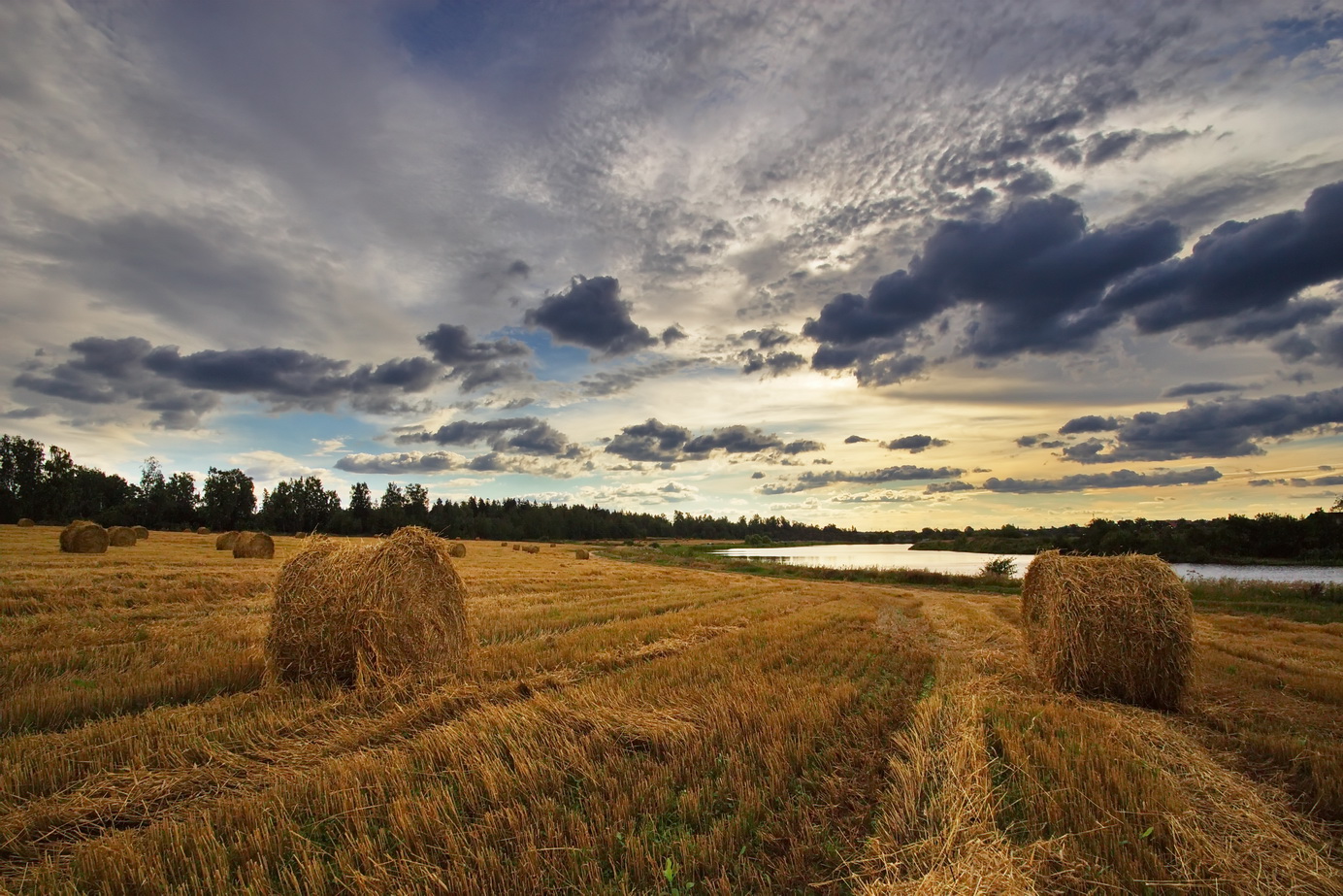 Фото ырке на поле