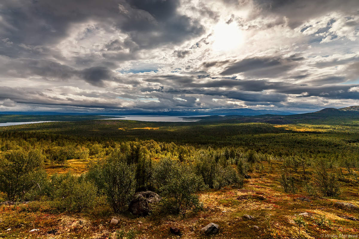 Сопки Кольского полуострова