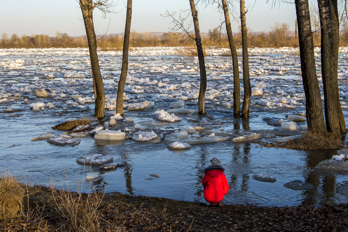 Водоем весной картинки для детей