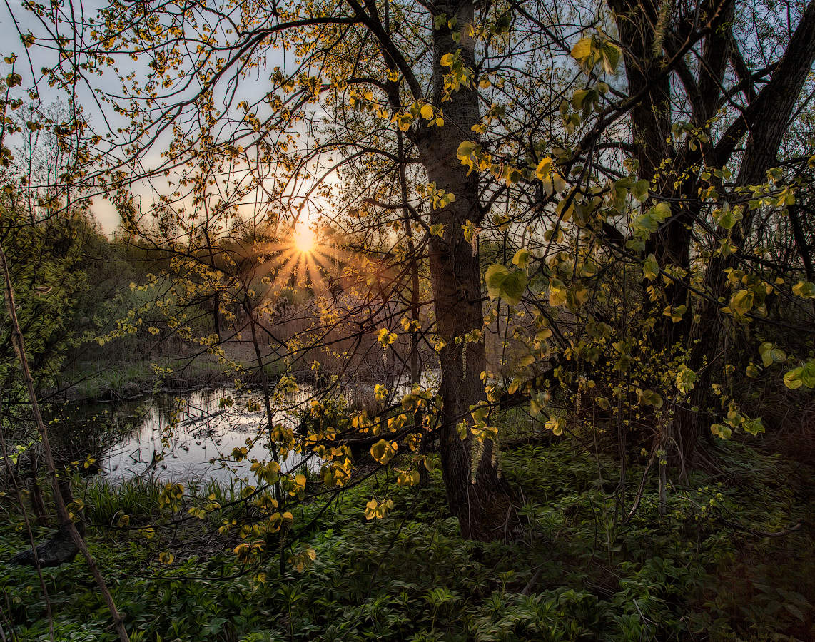 Весною подмосковье