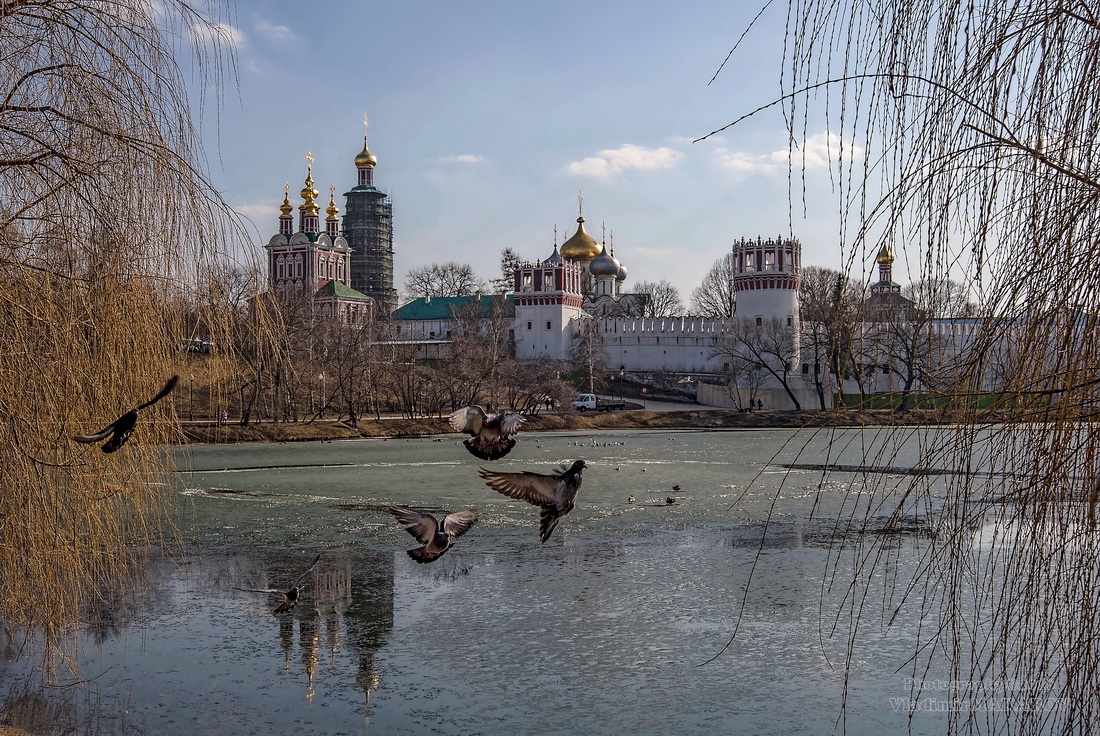 Фото весны в воронеже