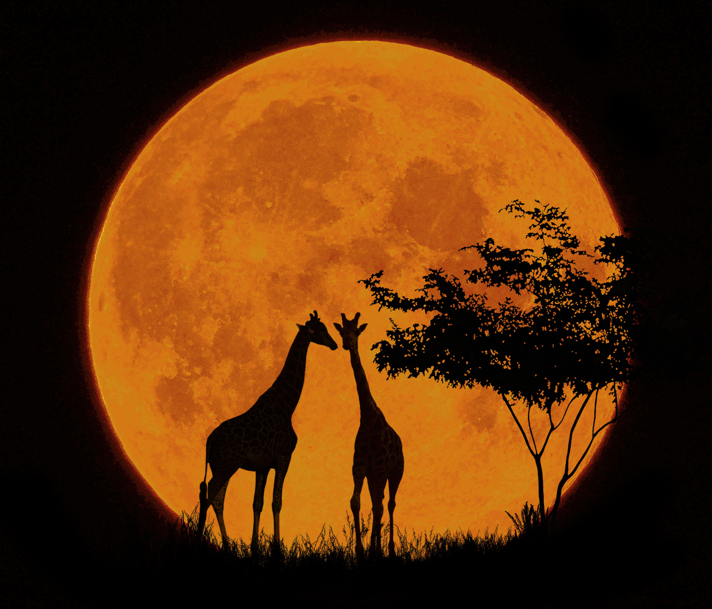 Жираф на фоне Луны