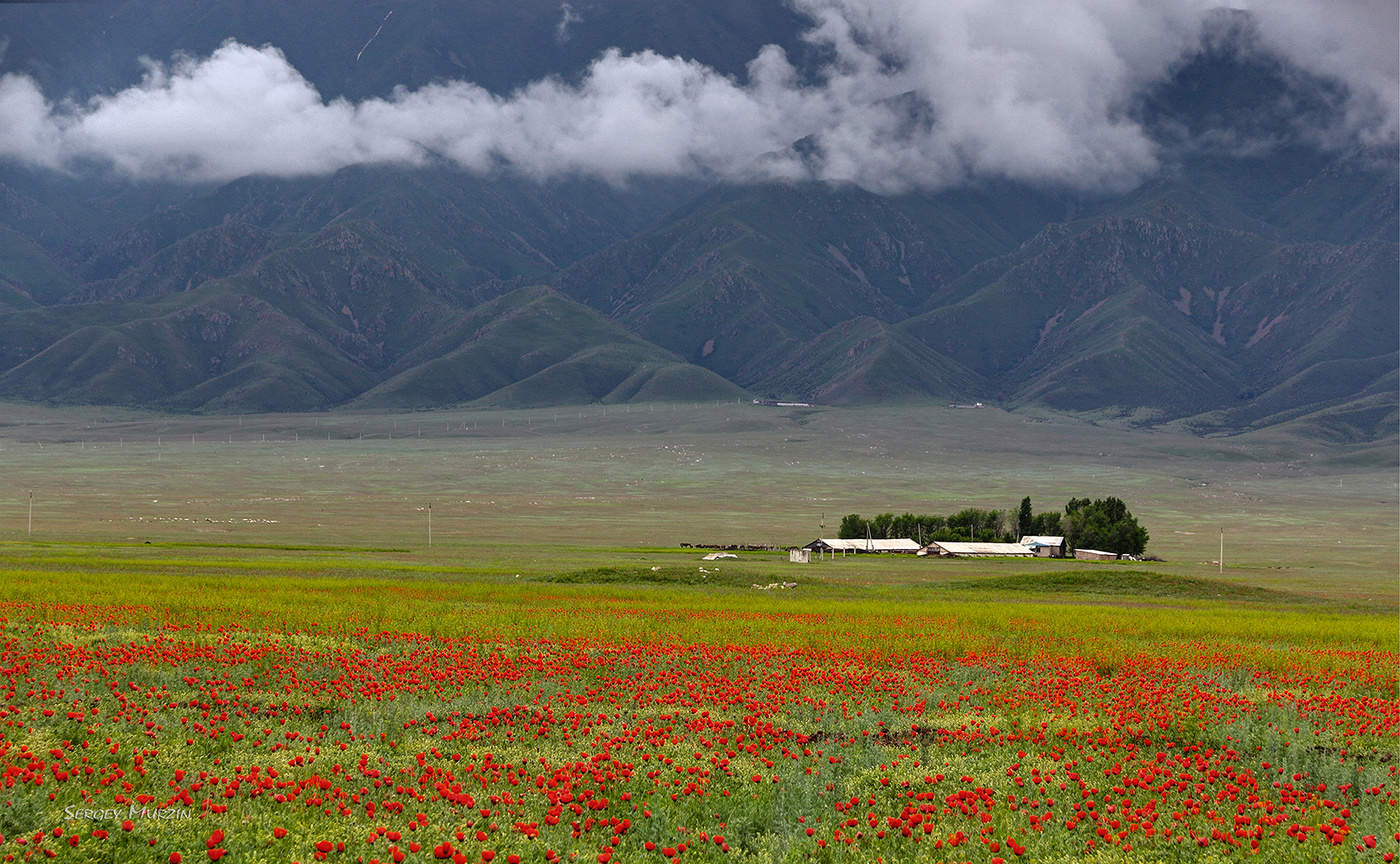 природа по южному казахстану