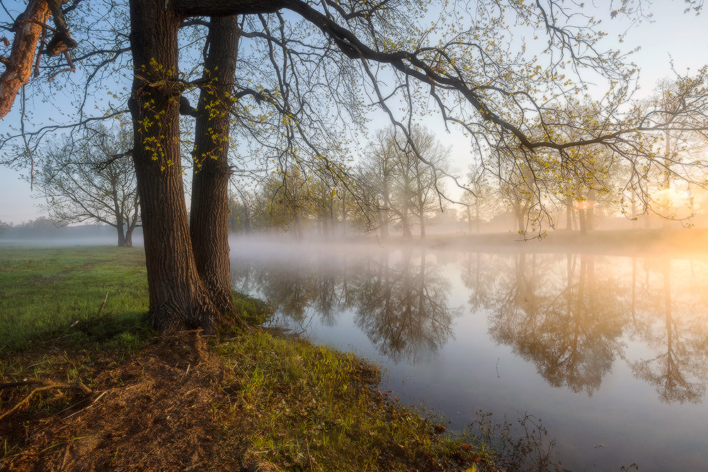 Весеннее утро фотографии