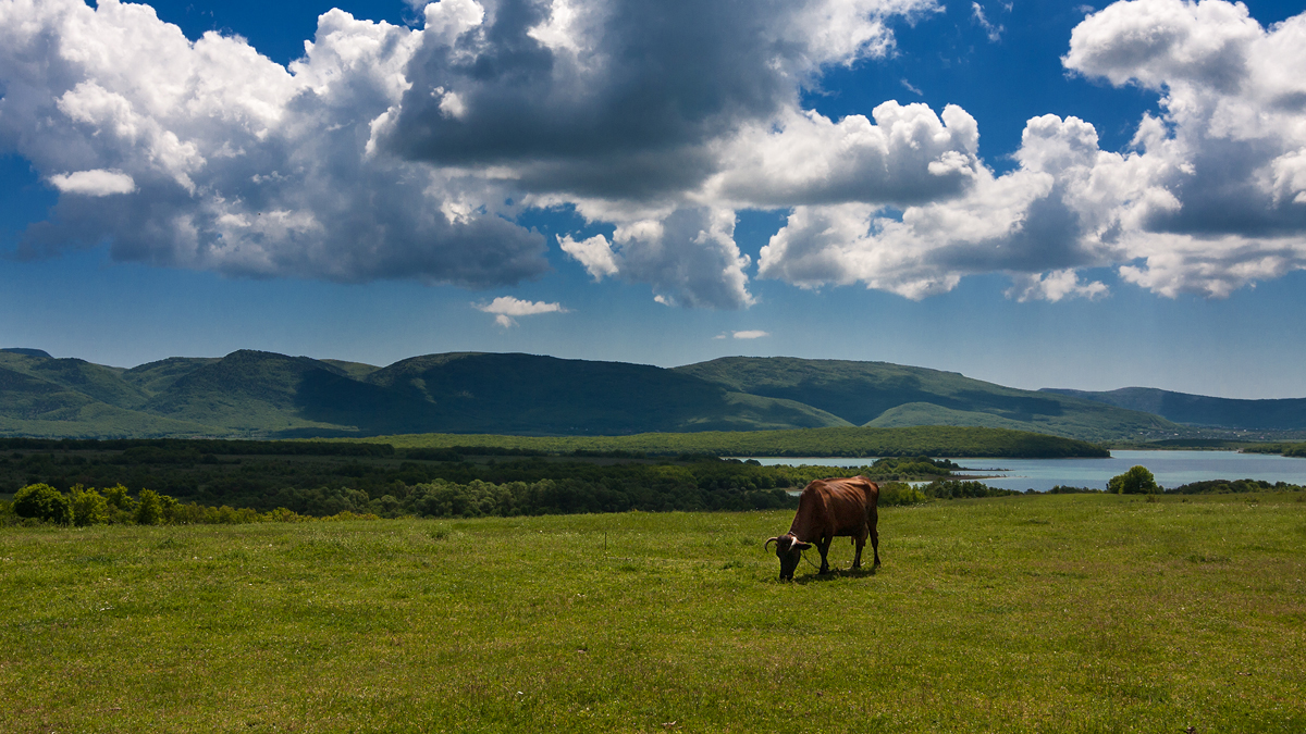 Байдарская долина фото