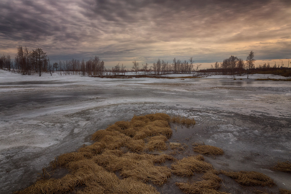 Весна в тундре фото