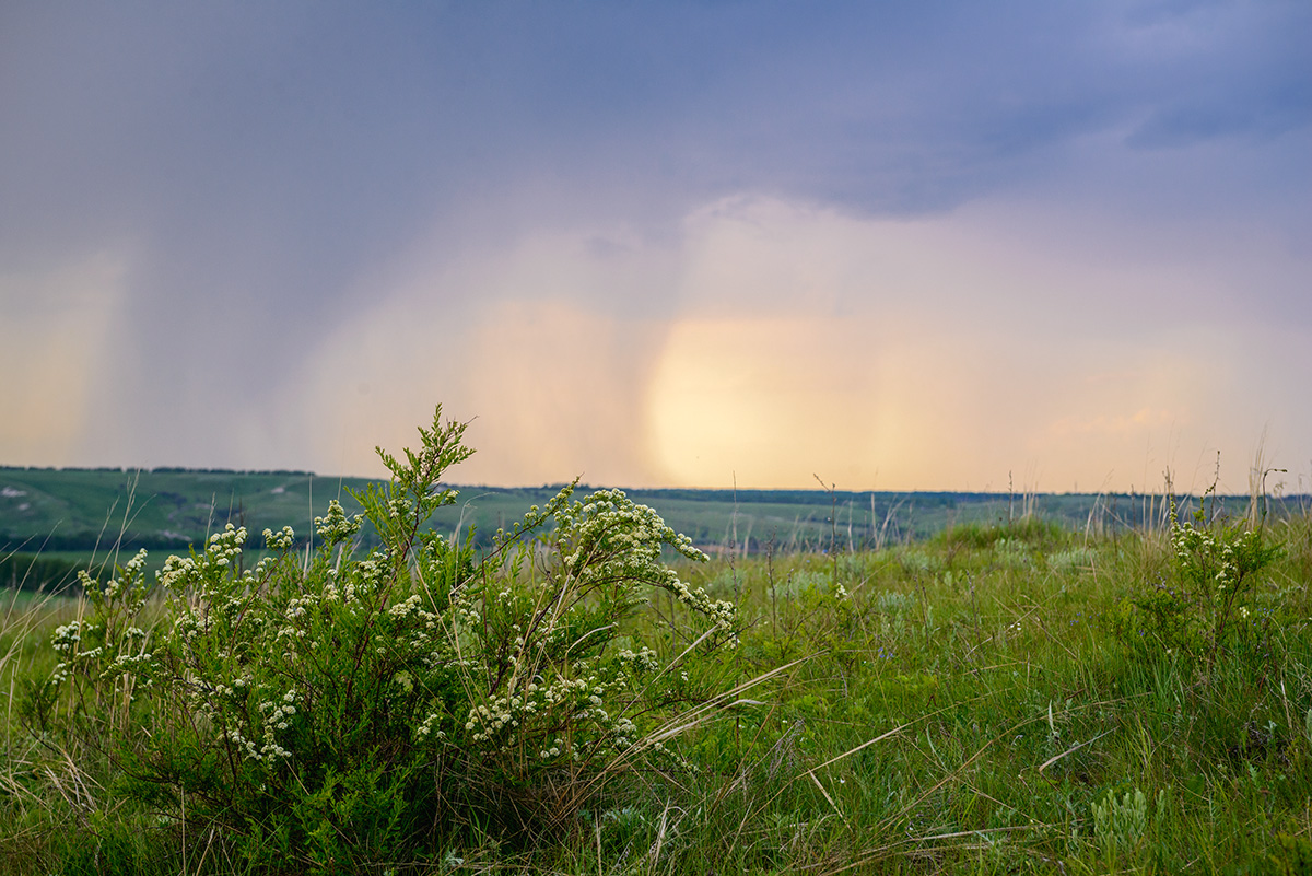 Дождливый май фото