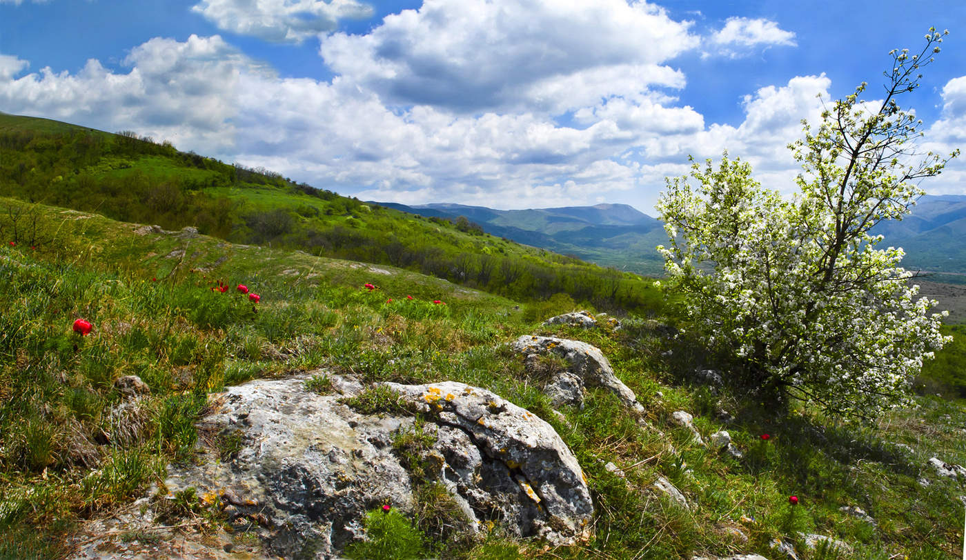 Горный рельеф Крыма