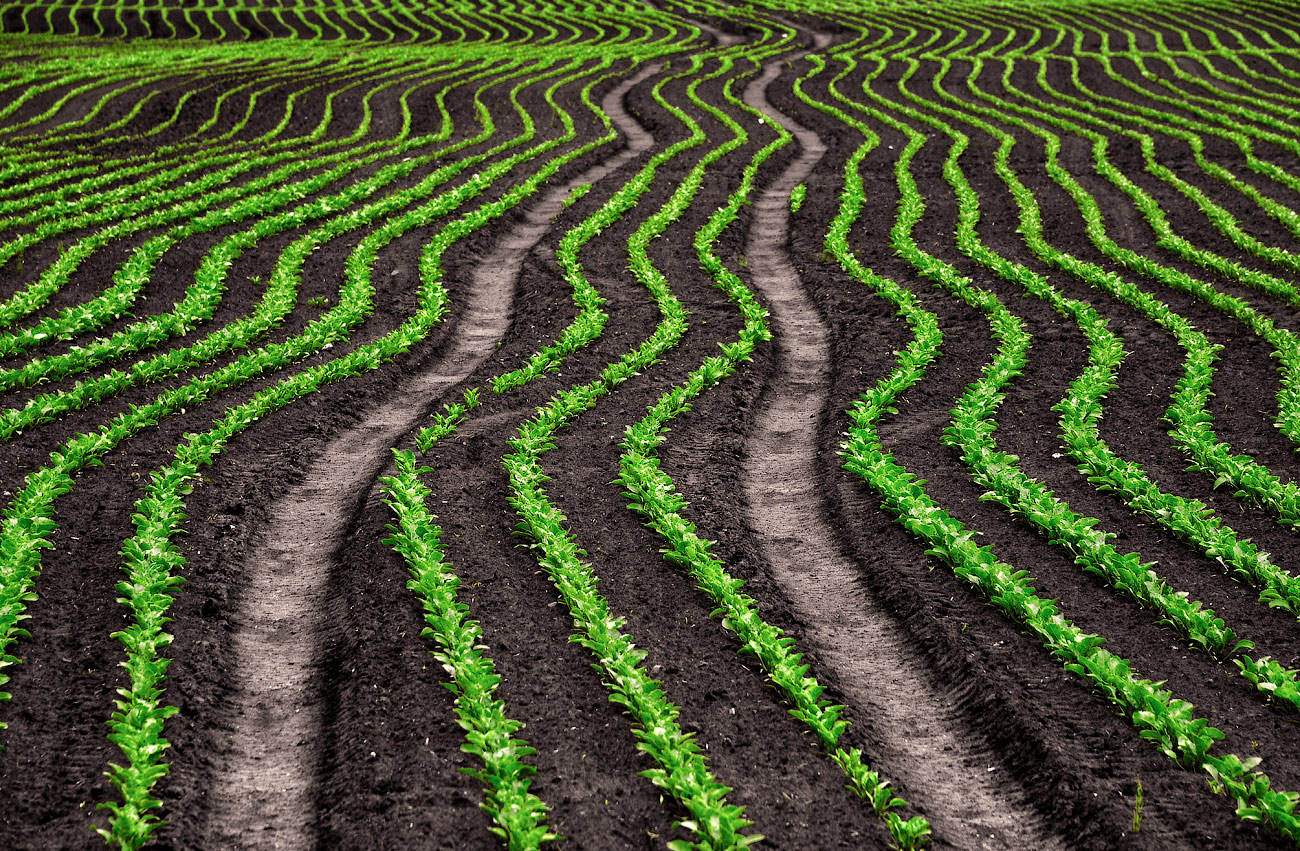 природа урожай. посевная пахота. готовое к посеву поле 4 буквы. трактор сеет пшеницу. поле пшеницы вид сверху.