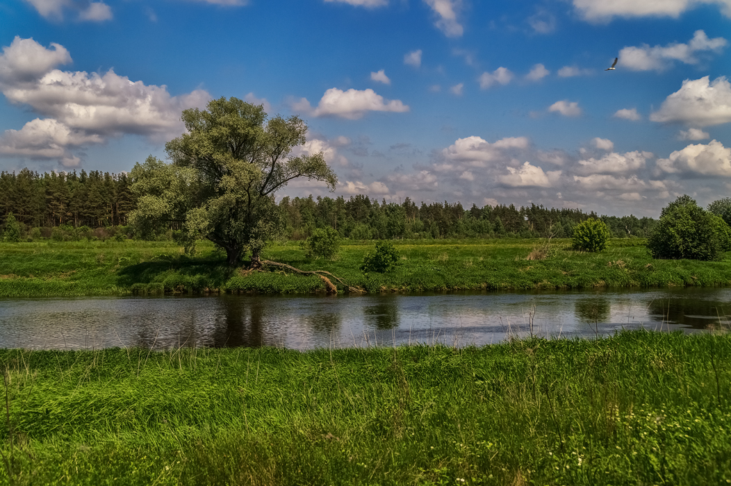 Река клязьма фото