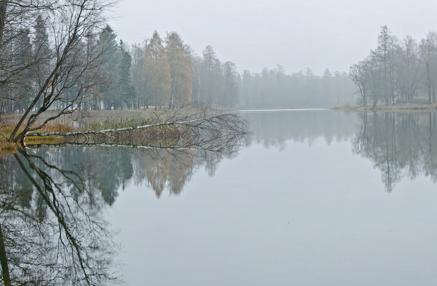 Озеро ноябрь