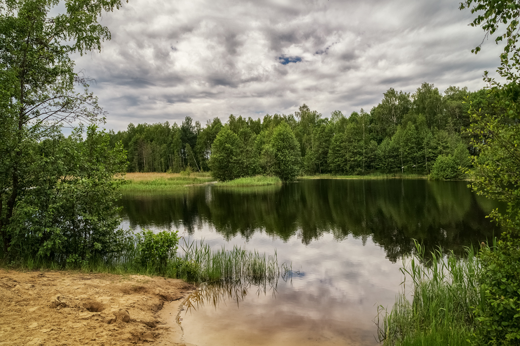 Лесное озеро картинки фото