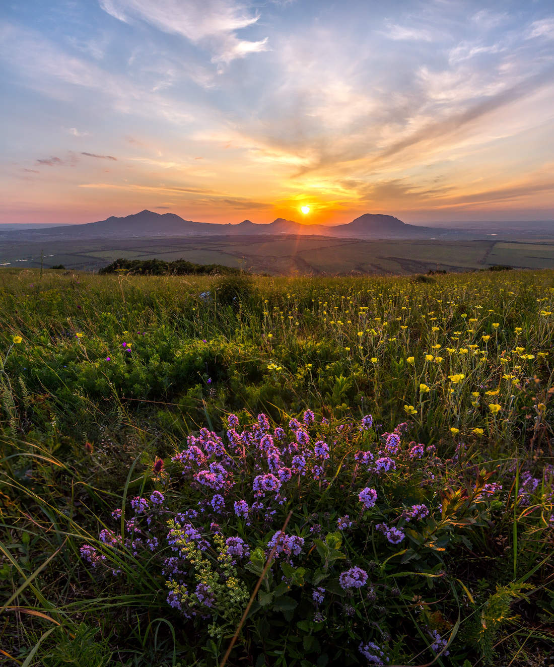 Природа ставропольского края. Ставропольский край Лашков. Федор Лашков. Рассвет на Бештау. Рассвет горы цветы Бештау.