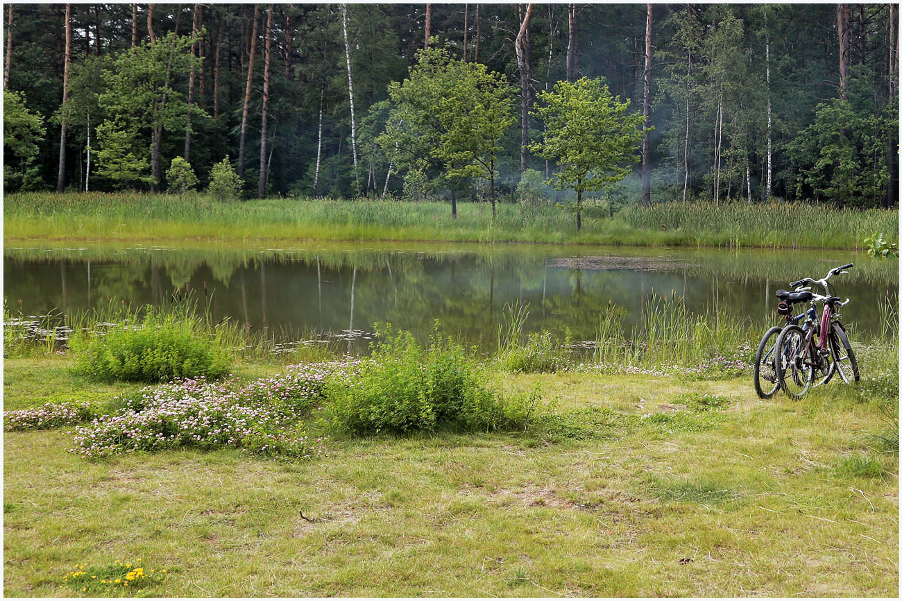 Мещерский парк пляж фото