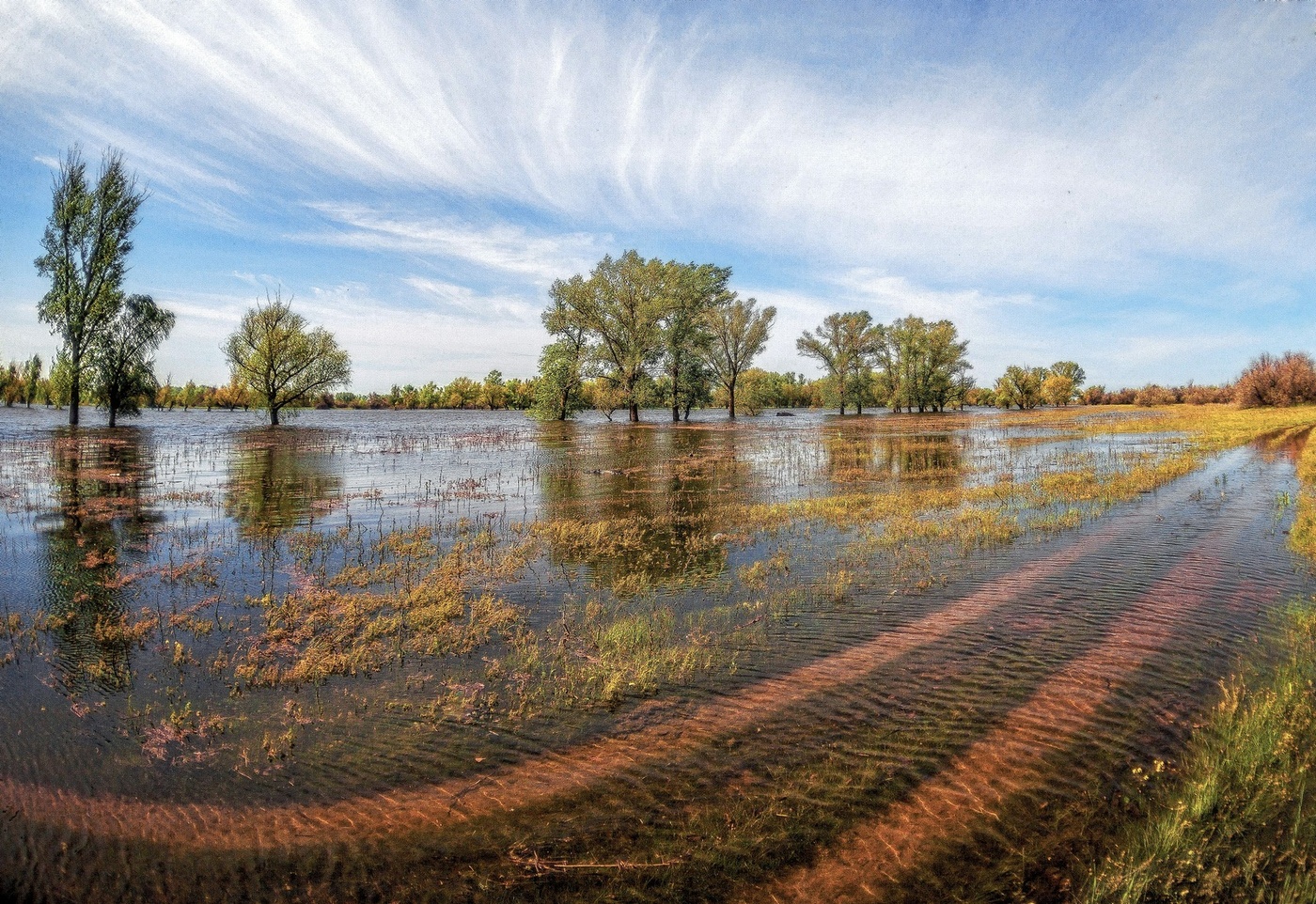 Погода сейчас в реке. Озеро Сестрорецкий разлив. Ахтуба река Волгоград. Природа Волгоградской области. Ахтуба в разливе.