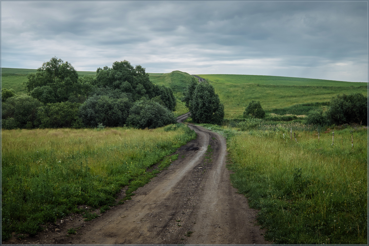 Путь дорожка. Шлях. Путь дорожка длинная. Эх фото.