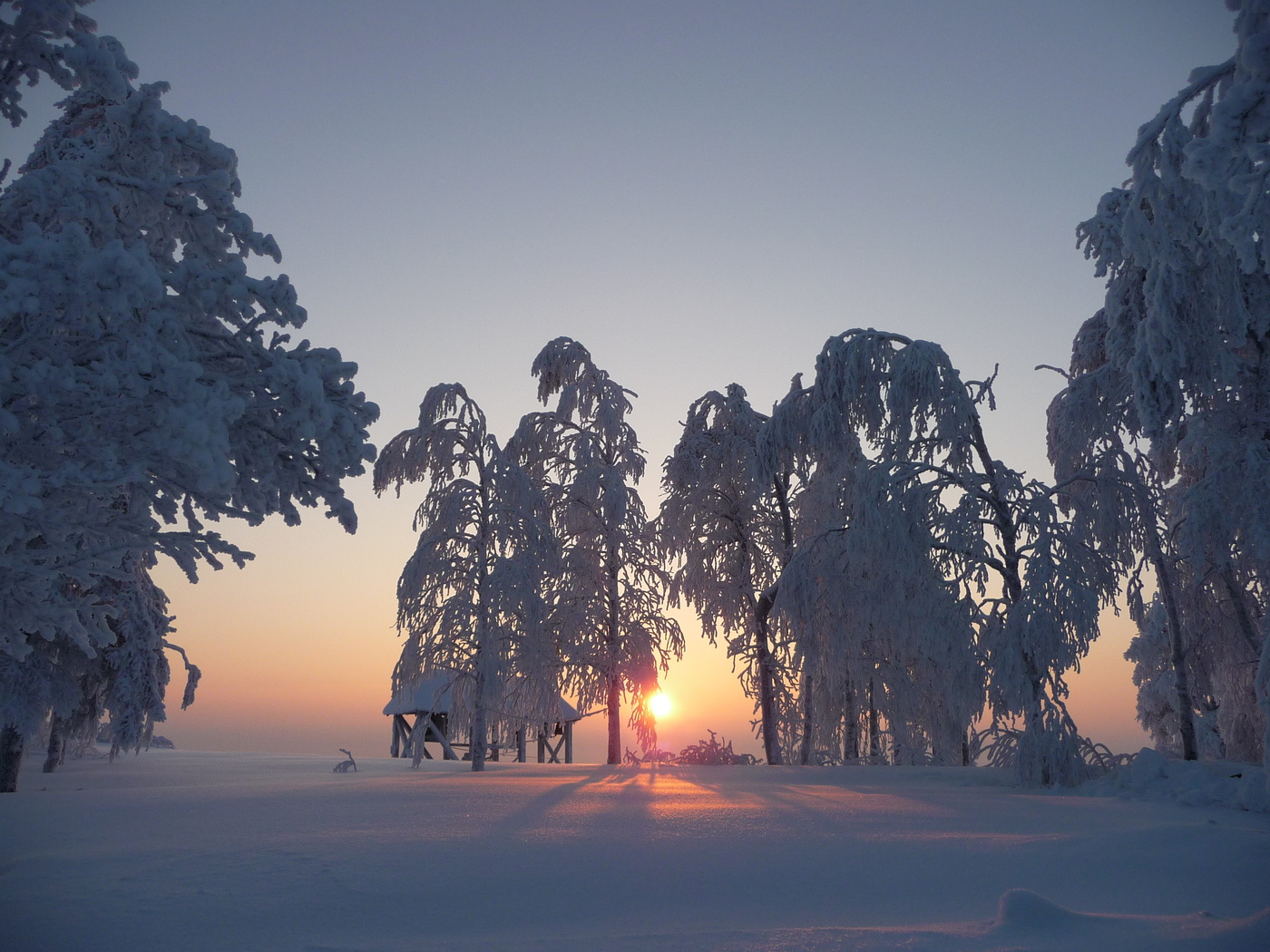 Пермь природа зимой