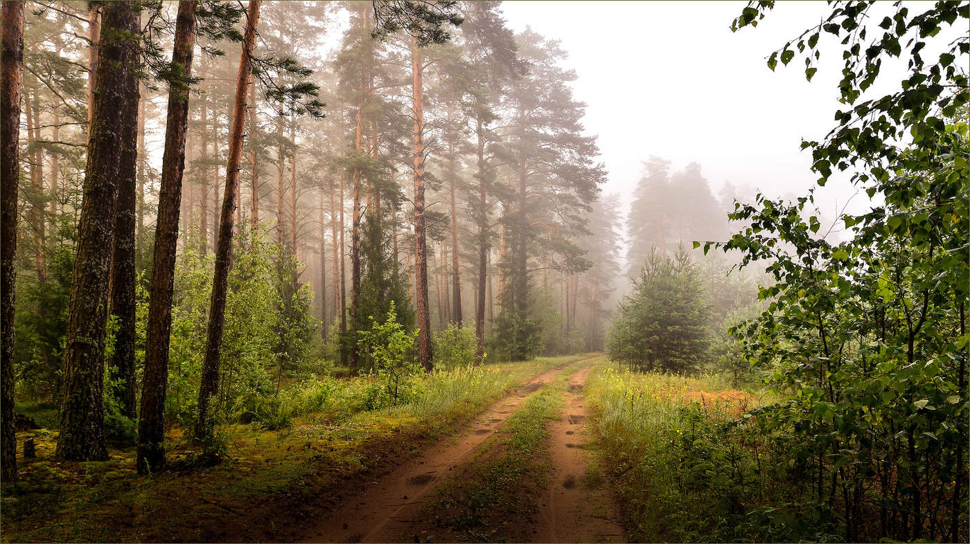 Настроения, картинки о беларуси природа