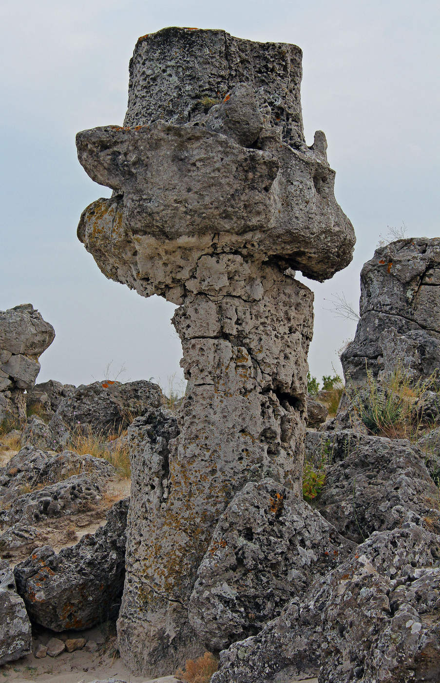 каменный лес болгария