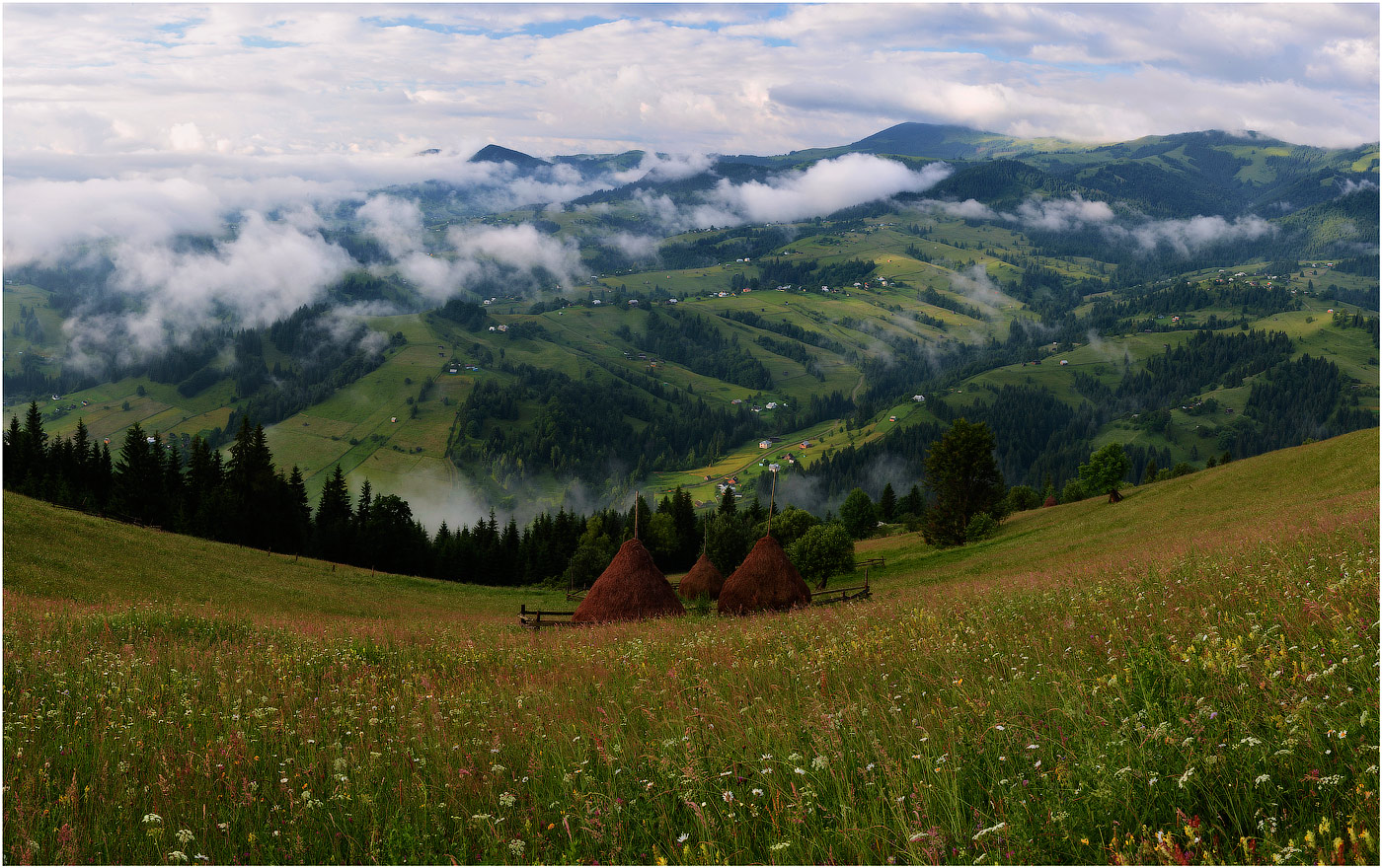 Карпаты фото. Карпатские горы Закарпатье. Словакия Карпатские горы. Карпаты Румыния холмы туман. Предгорье Карпат.