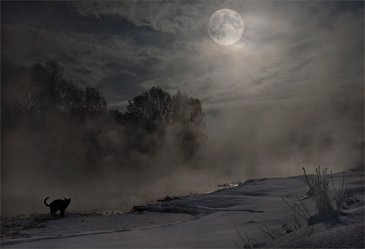 В воздухе стояла мгла небо из синего. Луна в тумане. Туман мистика. Туман ночью. Туманная Луна.