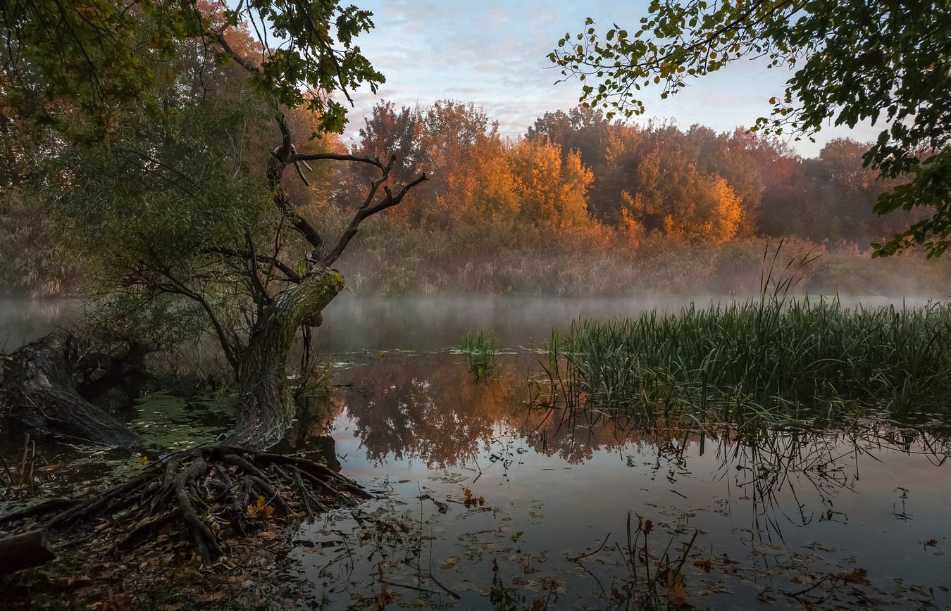 Утро на речке осень