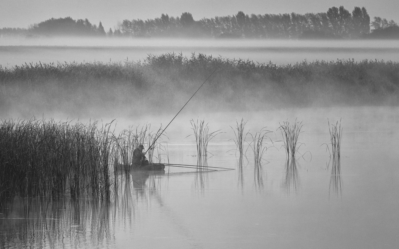 Вечерний туман дымился в камыше и легким паром вился над водой схема