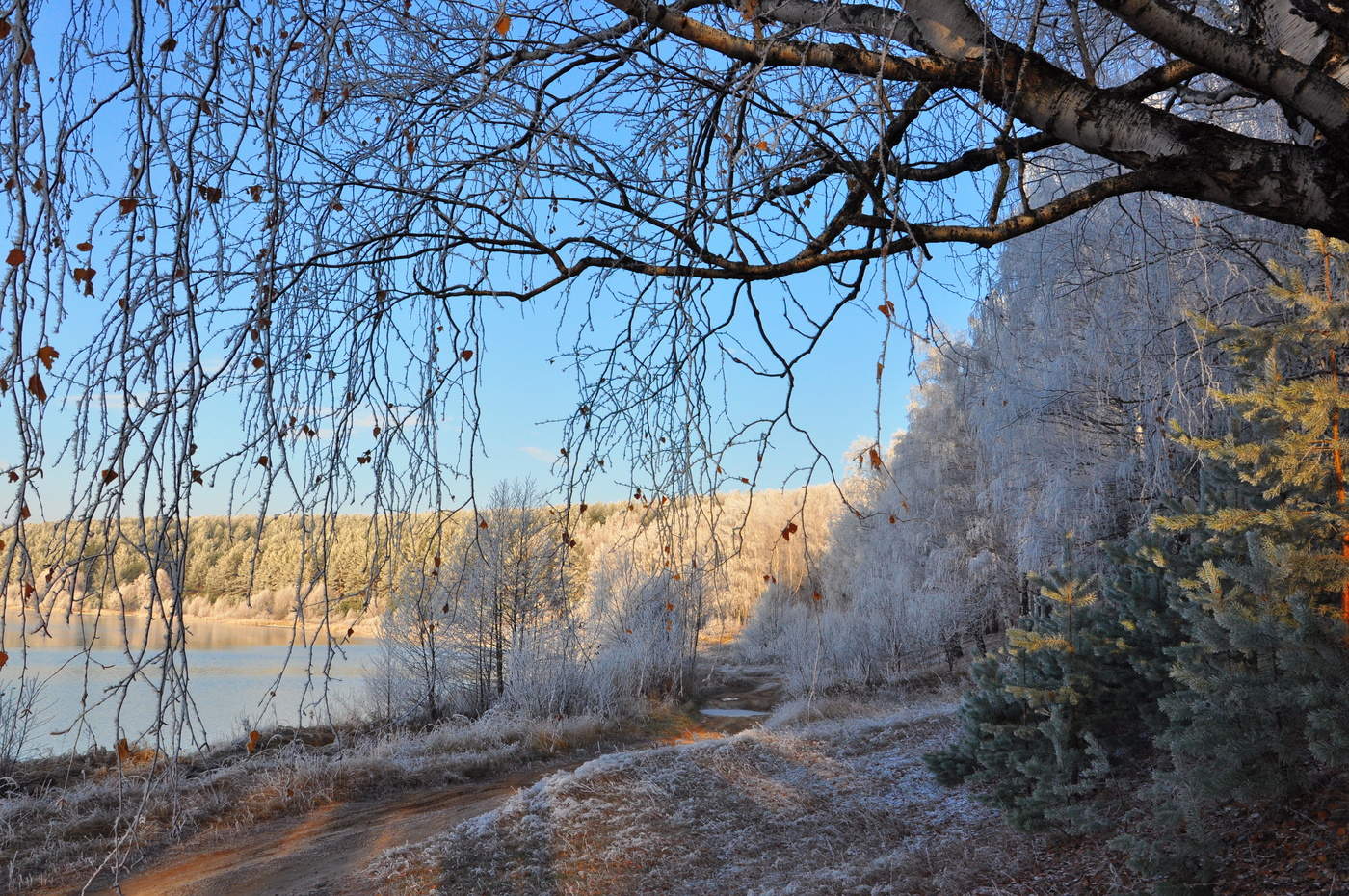 Поздняя осень фото