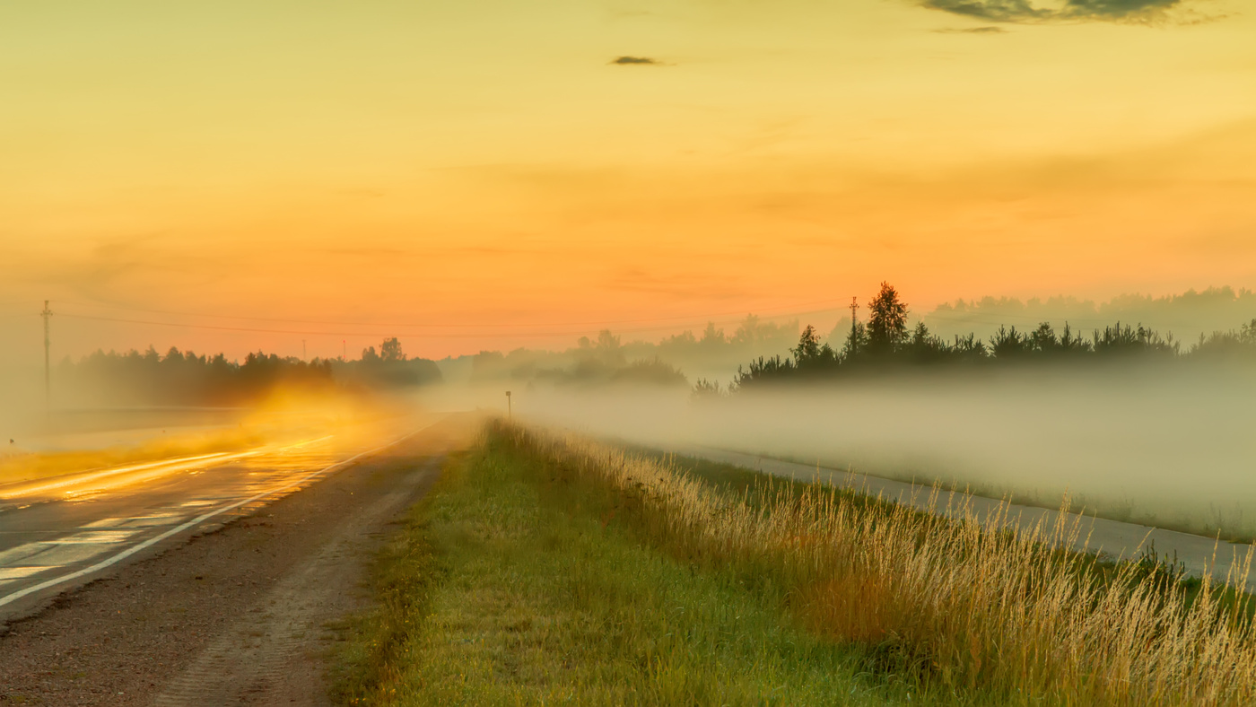 The road in the rye картина