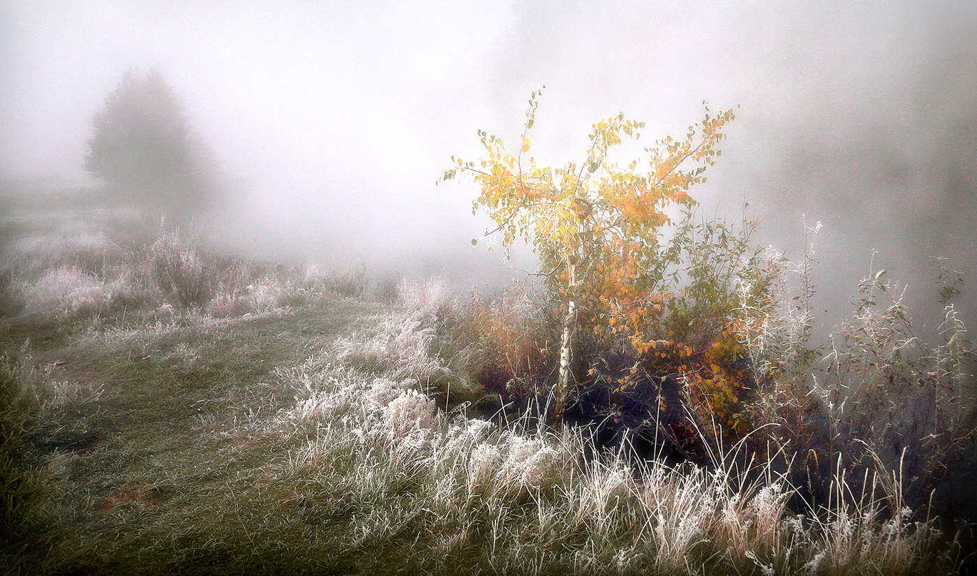 Картинки туманов. Осенний туман. Осень туман. Туман осенью. Осенний пейзаж туман.