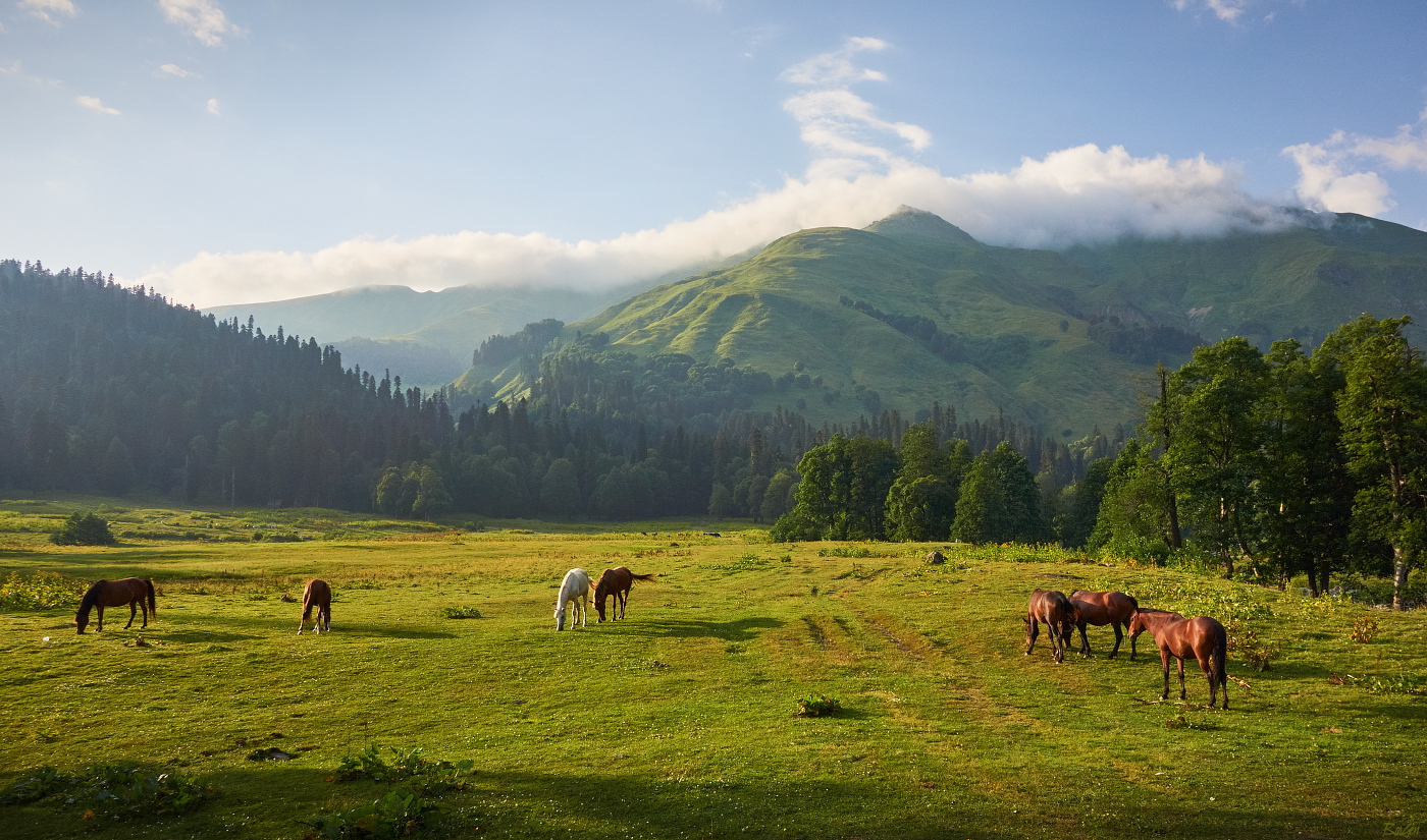 Ауадхара Абхазия Альпийские Луга